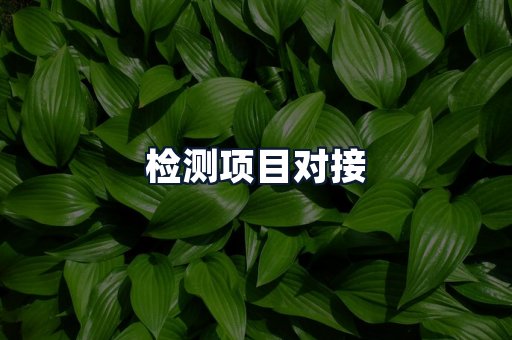 检测项目对接